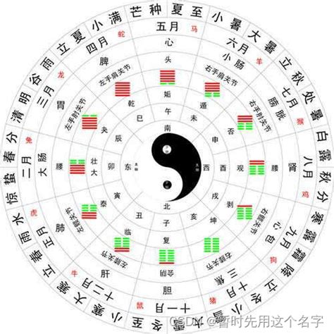 丁火怎麼看|十天干與十二地支喜忌——丁火篇